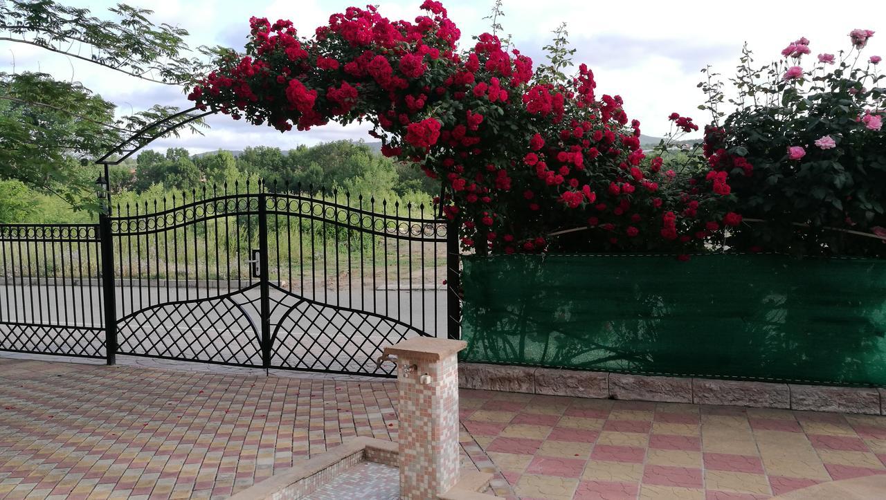 Family Hotel Mimosa Tsarevo Bagian luar foto