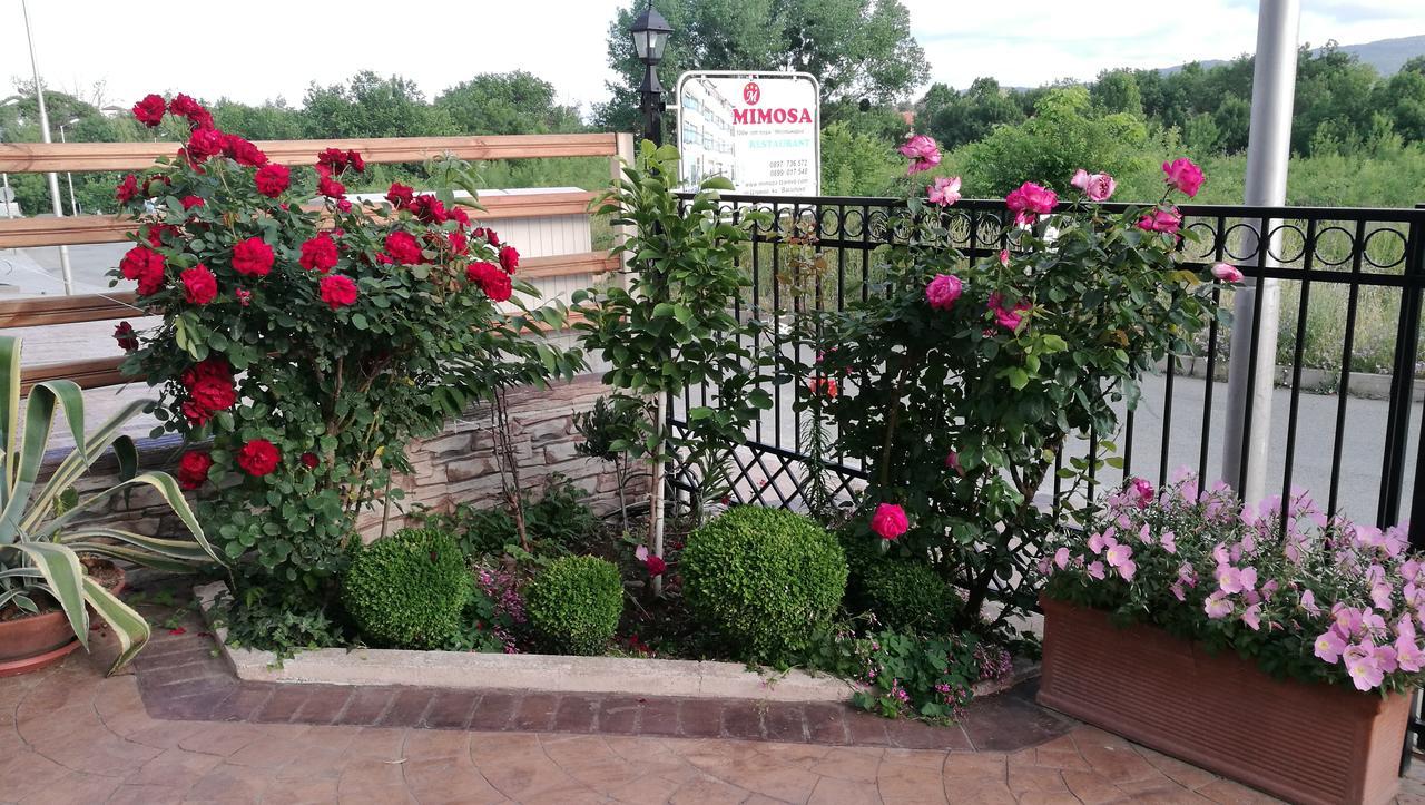 Family Hotel Mimosa Tsarevo Bagian luar foto